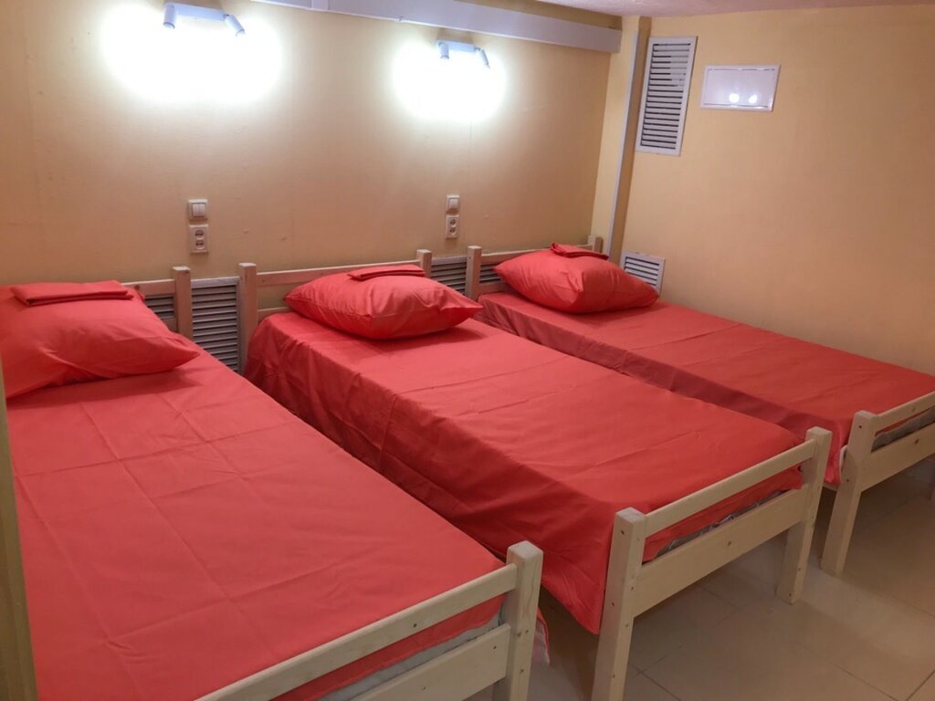 Bed in Dorm (female dorm) Hostour