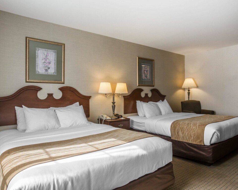 Camera quadrupla Standard Comfort Inn & Suites East Greenbush - Albany