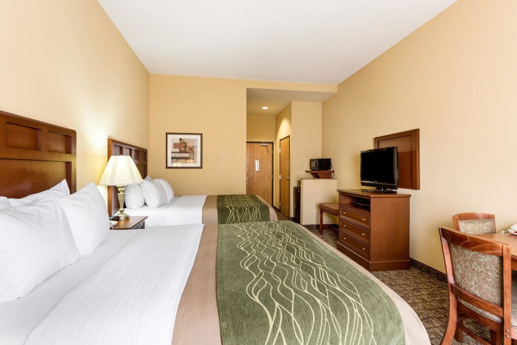 Standard quadruple chambre Comfort Inn & Suites
