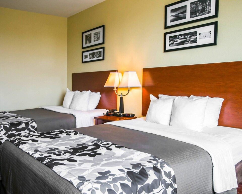 Standard quadruple chambre Sleep Inn & Suites New Braunfels