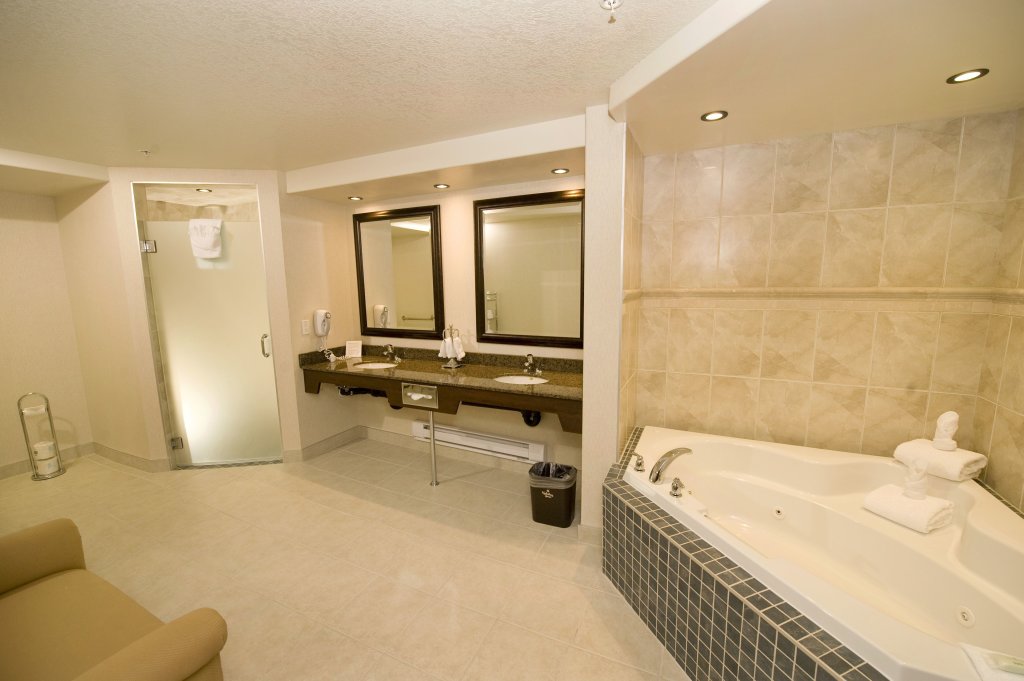 Двухместный люкс Holiday Inn Hotel & Suites-West Edmonton, an IHG Hotel