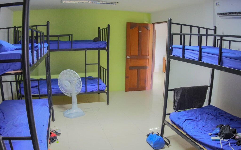 Кровать в общем номере P & T Hostel