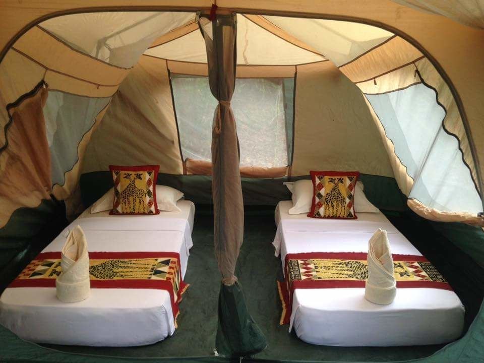 Tent Mikumi Resort