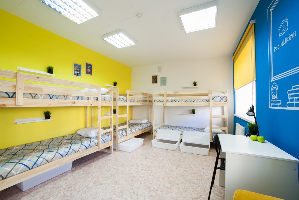Bed in Dorm Hotel - Hostel Podushkinn