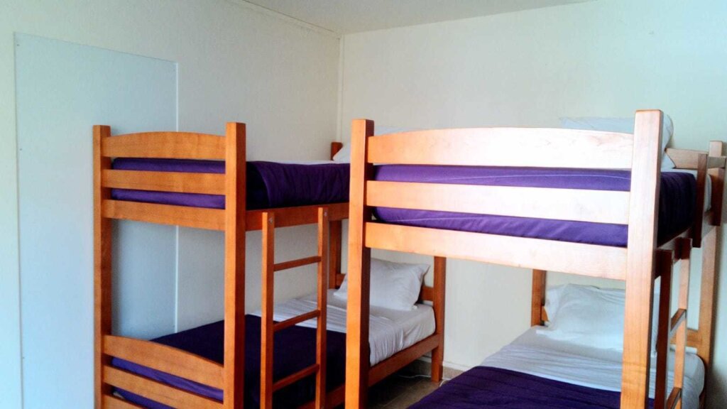 Bed in Dorm Absolut Morning Hostel