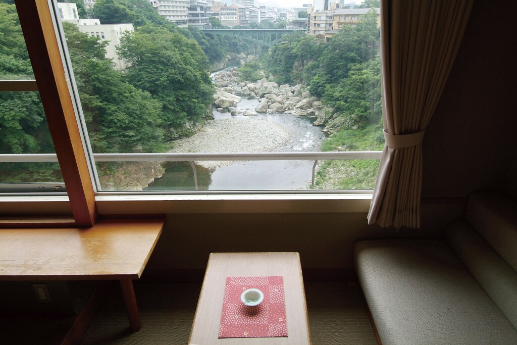 Двухместный номер Standard с видом на реку Kinugawa Plaza Hotel