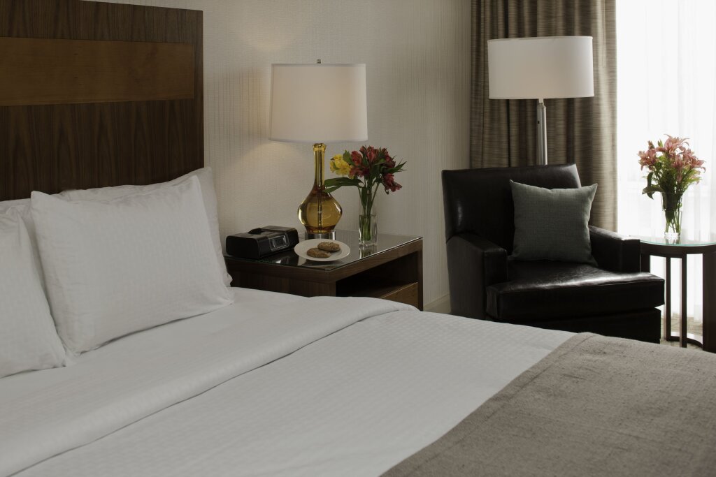 Accessible Doppel Suite DoubleTree by Hilton Pittsburgh-Green Tree