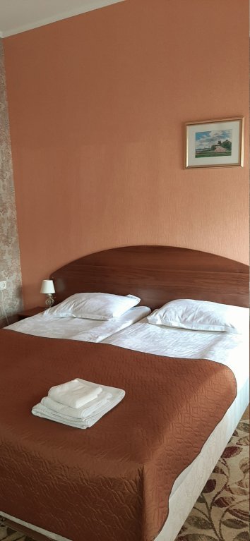 Standard Doppel Zimmer Mini-Hotel Putilov 2