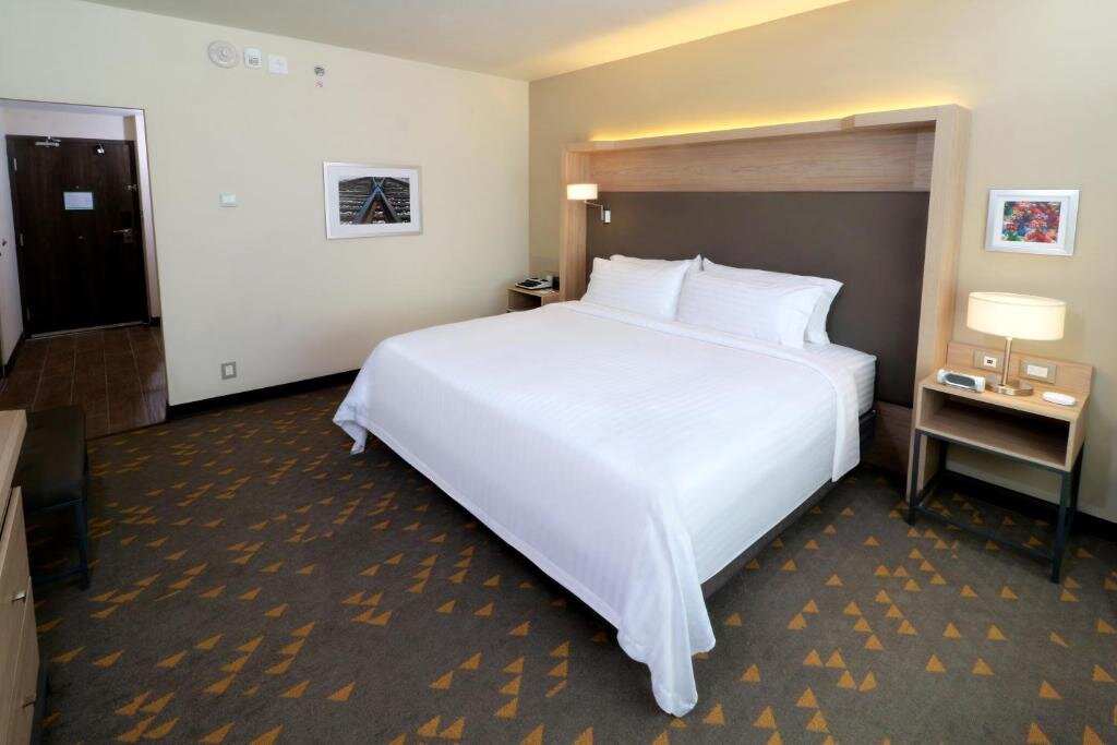 Camera doppia Standard Holiday Inn