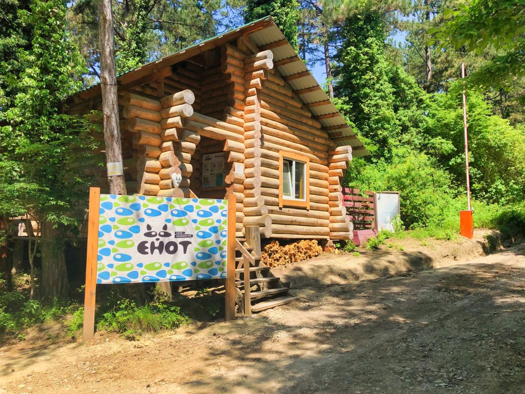 Кемпинг Енот-Архипо-Осиповка в Архипо-Осиповка, Берег Геленджика.  Забронировать Кемпинг Енот-Архипо-Осиповка