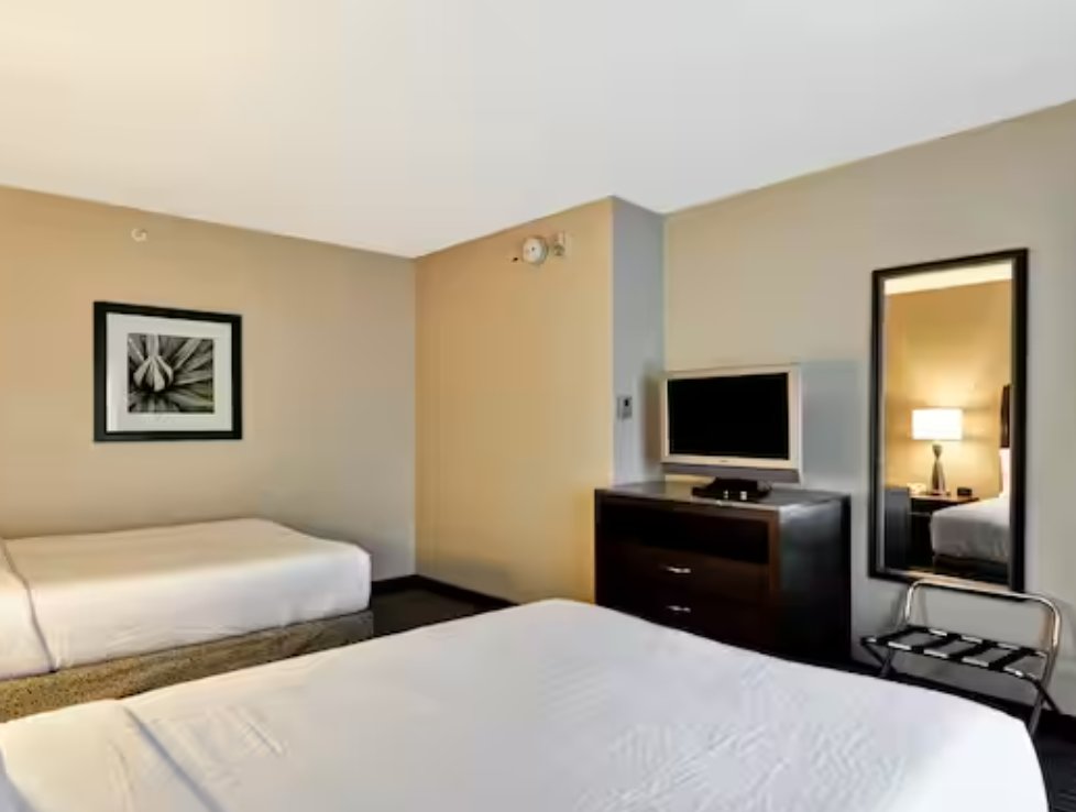 1 camera da letto Mobility Accessible with Roll-in Shower quadrupla suite Hilton Garden Inn Tampa North