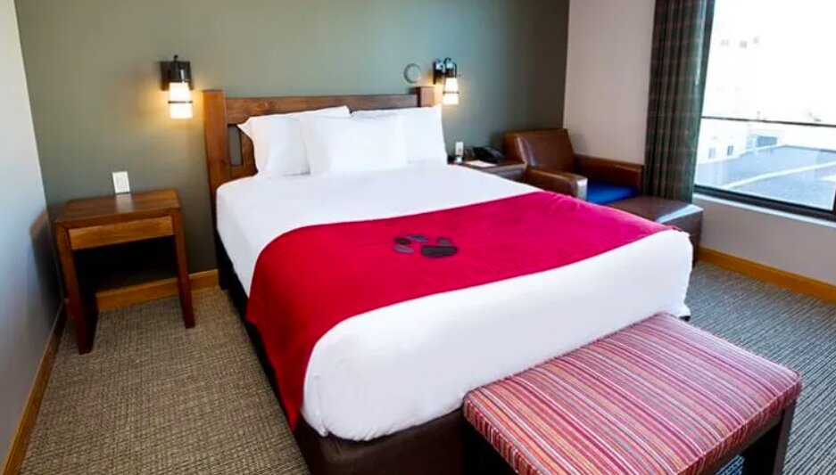 Suite doppia Great Wolf Lodge Bloomington