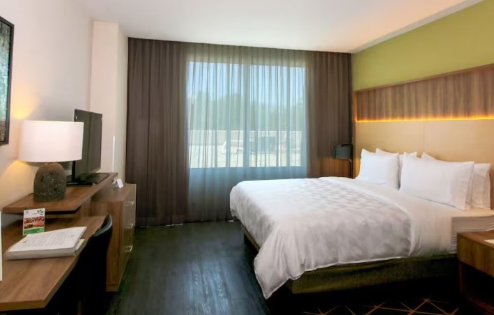 Двухместный номер Standard Holiday Inn San Luis Potosi-Quijote, an IHG Hotel