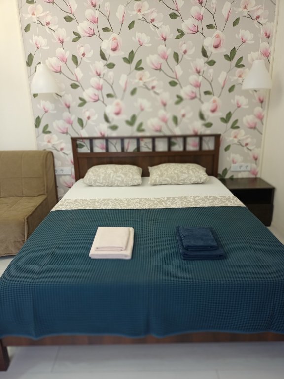 Appartamento Comfort 1 camera da letto Engels Guest House