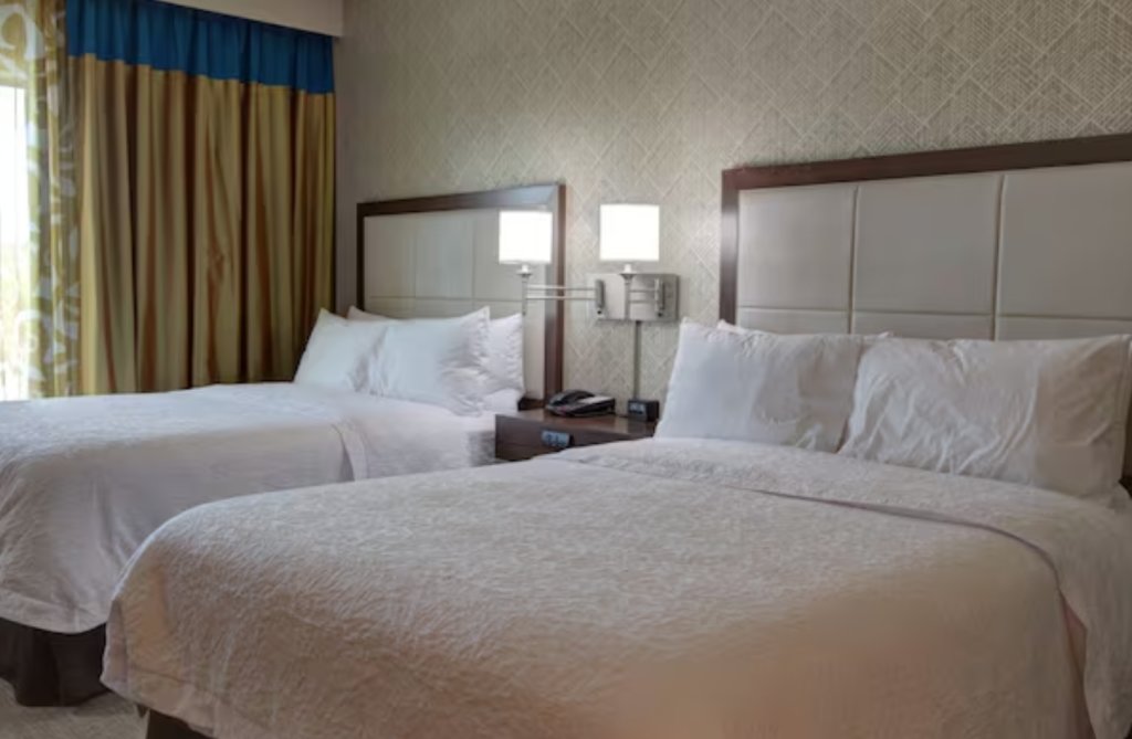 Zimmer Hampton Inn & Suites by Hilton Tampa Busch Gardens Area