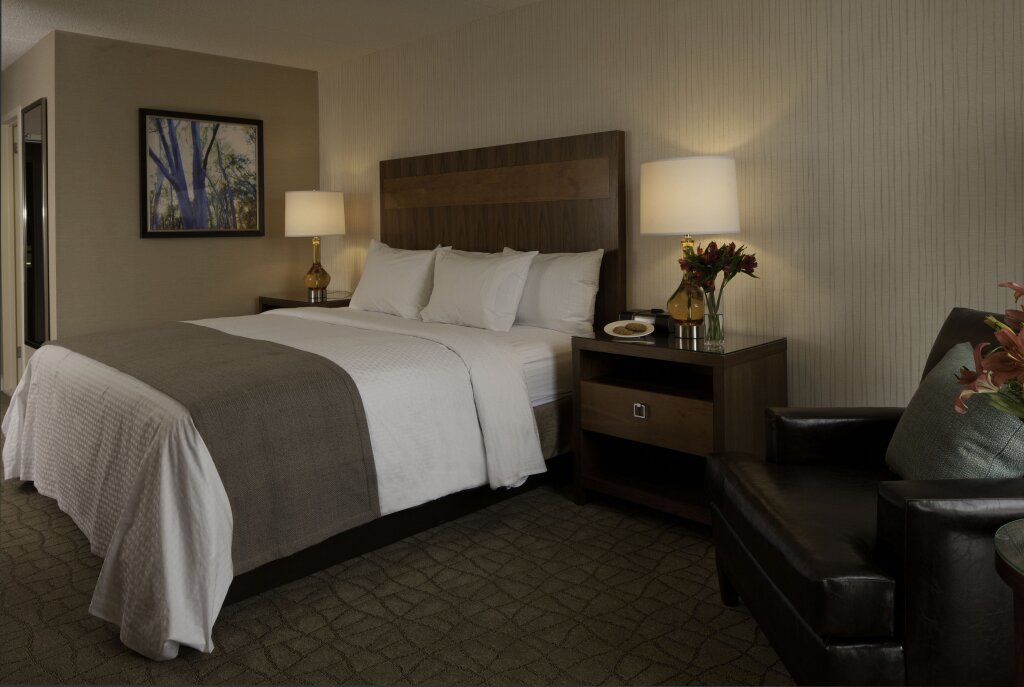Standard Zimmer DoubleTree by Hilton Pittsburgh-Green Tree