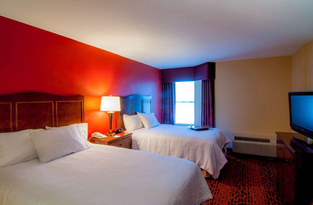 Люкс c 1 комнатой Hampton Inn & Suites Tampa-North