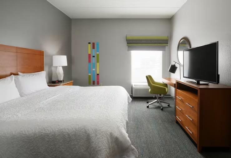 1 Bedroom Double Suite Hampton Inn & Suites Houston-Medical Center-NRG Park
